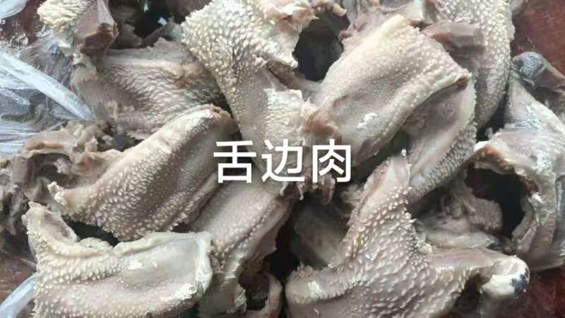 厦门牛眼睛  牛鼻子，嘴边肉