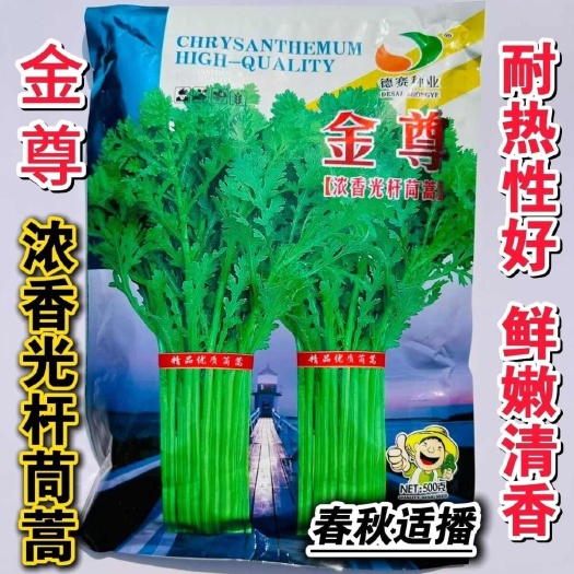 沭阳县金尊浓香光杆茼蒿种子耐热耐寒蔬菜籽口感细嫩清脆皇帝菜春秋种植