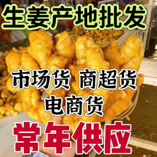 沂水县常年供应生姜产地直销，大黄姜 小黄姜保质保量，全国发货