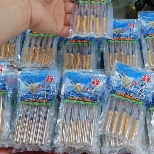 西宁冬虫夏草