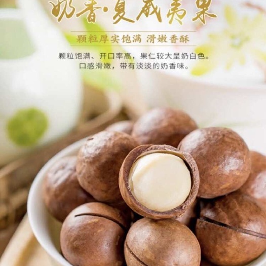 北流市散装袋装礼盒套装，x光机严选广西夏威夷果干果零食澳洲坚果