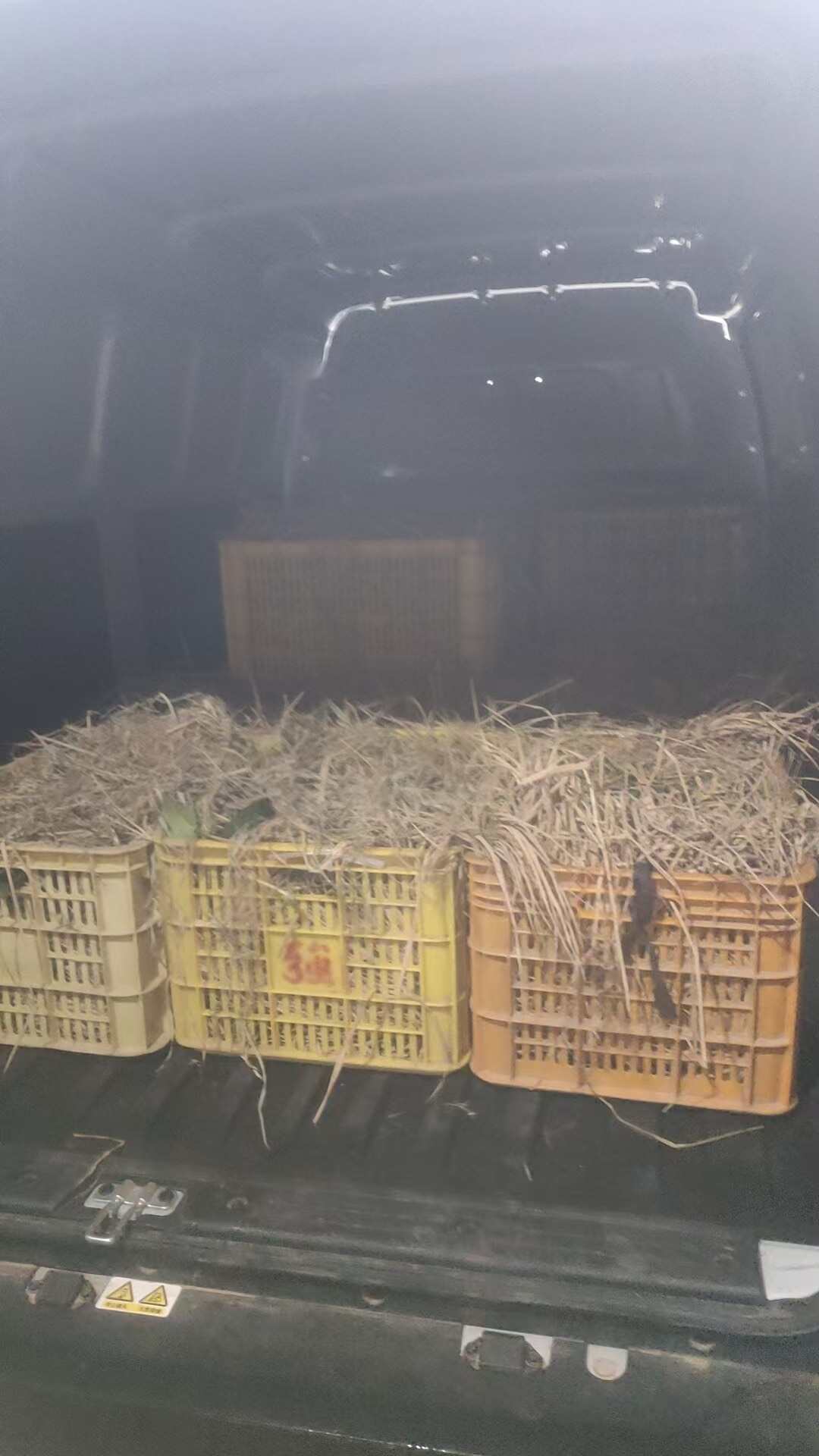 广佛手德庆产区供奉，闻香，，茶饮都有货