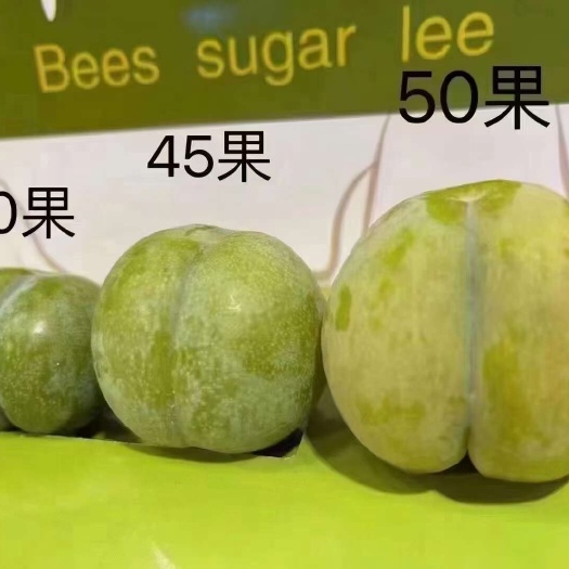 关岭县蜂糖李18个糖起步