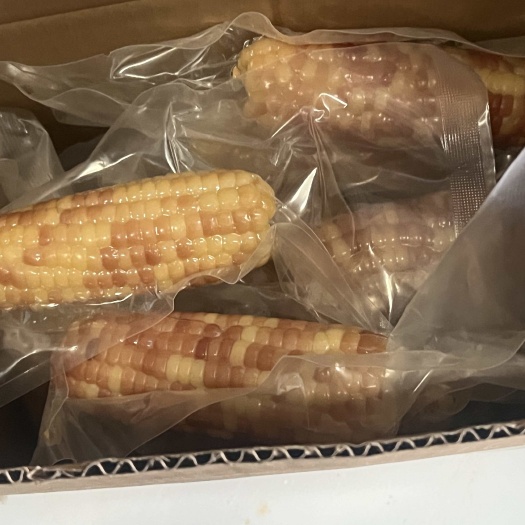 昆明云南西双版纳小花糯玉米产地直发一件代发