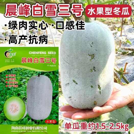 沭阳县白雪三号水果小冬瓜种子清爽脆甜绿肉实心冬瓜种子水果小冬瓜种籽