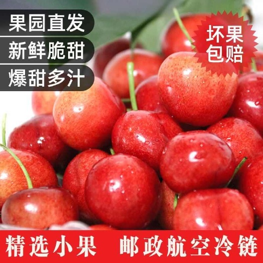 东营山东东营小樱桃红灯酸甜脆布鲁克斯新鲜水果孕妇当应季国产车厘子