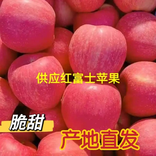 沂水县苹果，红富士苹果产地直销，常年供应苹果 一手货源脆甜