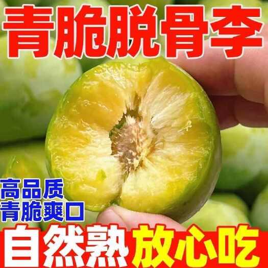 镇宁县贵州青脆李脱骨李