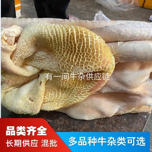 广东牛肚，飞水牛肚，水褪半成品牛肚，大肚带金钱肚，精修干净