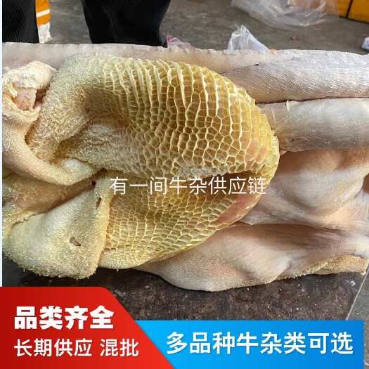 广州广东牛肚，飞水牛肚，水褪半成品牛肚，大肚带金钱肚，精修干净