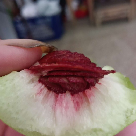 东江湖鹰嘴桃脆甜可口，又脱骨离核果肉不粘连骨核是上等桃之精品