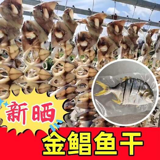 宁德金鲳鱼 广东淡晒淡盐金鲳鱼鱼干 半干货海鲜干鱼真空