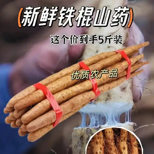 【助农补贴】铁棍山药五斤软糯香甜营养美味生鲜蔬菜带土30-4