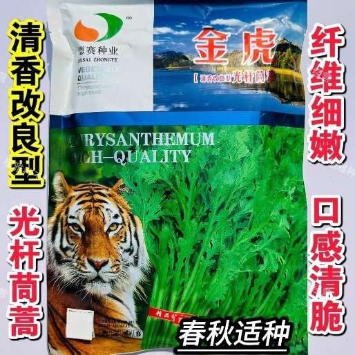 德赛金虎清香茼蒿种子光杆茼蒿种子纤维细嫩口感清脆皇帝菜春秋播