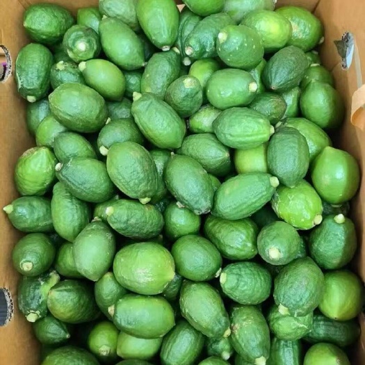 深圳香水柠檬
