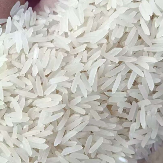 德庆县农村自产自销大米一级货不拔光 不打蜡