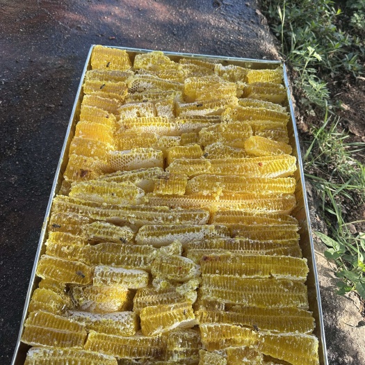 玉溪云南蜂巢蜜，蜂厂直供货