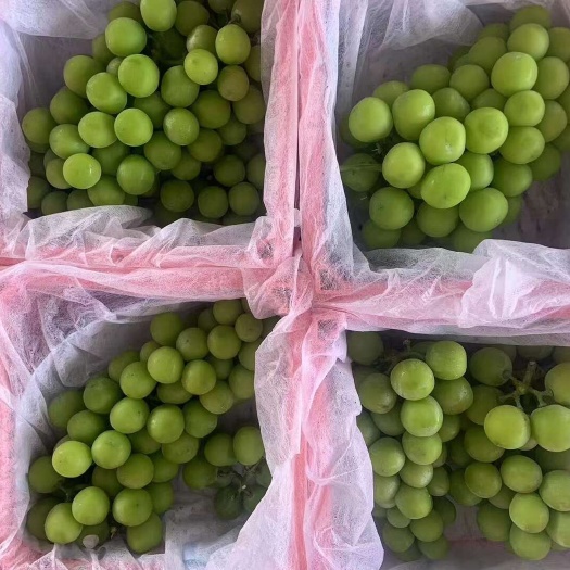 昆明阳光玫瑰网红小粉筐装，保质保量，产地直供