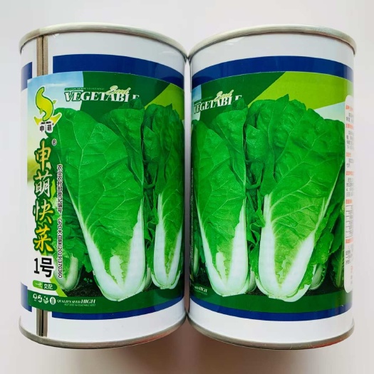 快菜菜种子 申萌快菜一号奶油快菜种子