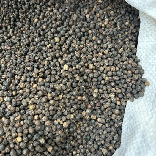 陆川县5.8两 黑胡椒，颗粒均匀，颜色好。