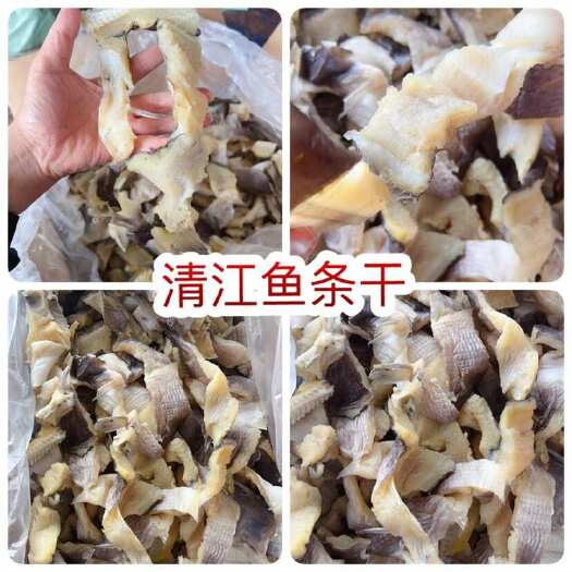 清江鱼条干展会地摊电商清江鱼巴沙鱼叉尾鱼条干鱼片淡水鱼干干鱼