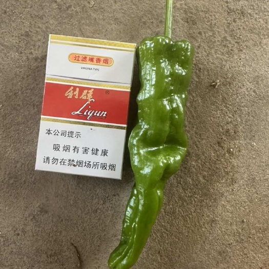 枣庄皱皮，螺丝辣椒