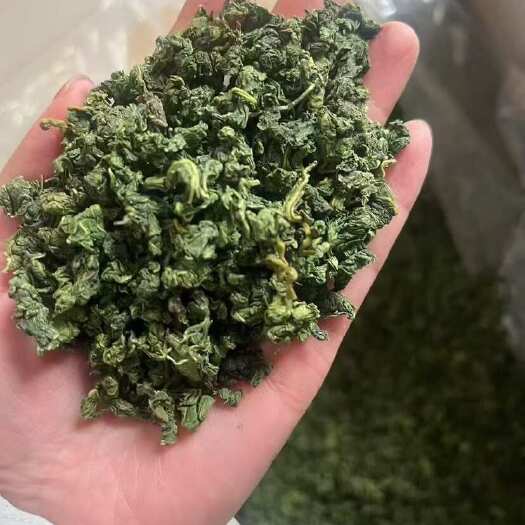 玉林桑叶茶新货精品桑叶茶养生茶