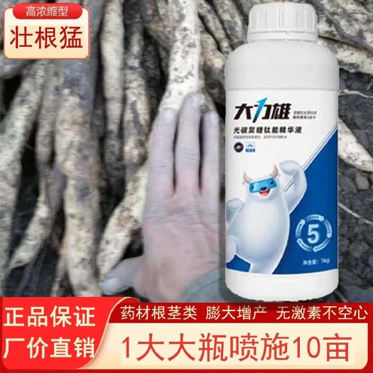 连州市百部苗专用肥壮根灵快膨大素天冬五指毛桃首乌玉竹地下猛长壮根肥
