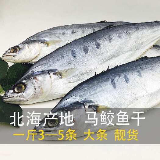 北海【开海新货】鲜晒马鲛鱼干咸香公马鲛鱼干自晒鲅鱼干海产品干货