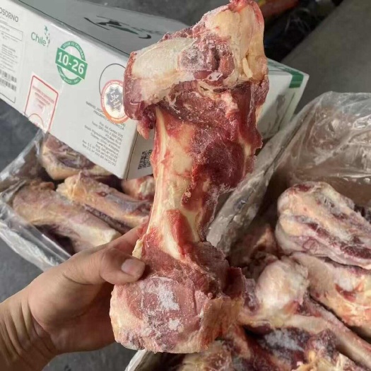 包头牛腿骨