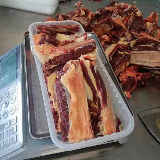 锡林浩特黄膘牛排
