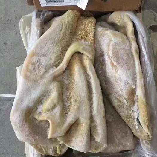 中牟县788A牛肚。纯干，出秤高。