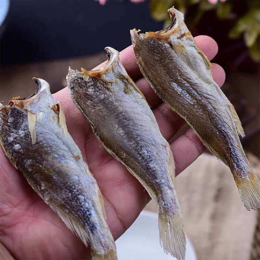 北海新货小黄花鱼干渔家自晒咸鱼干海鲜干货黄花鱼干晒干新鲜小鱼干
