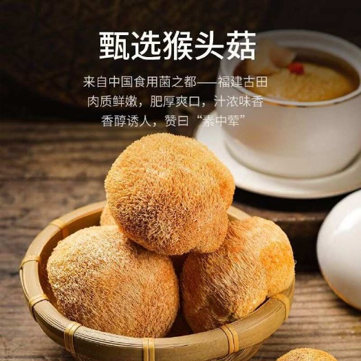 宁德【净重发货】猴头菇干货古田菌菇新鲜猴头菌批发无硫蘑菇煲汤食材