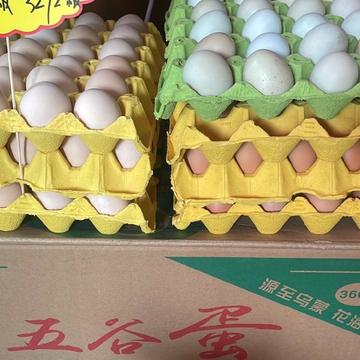 六盘水土鸡蛋批发