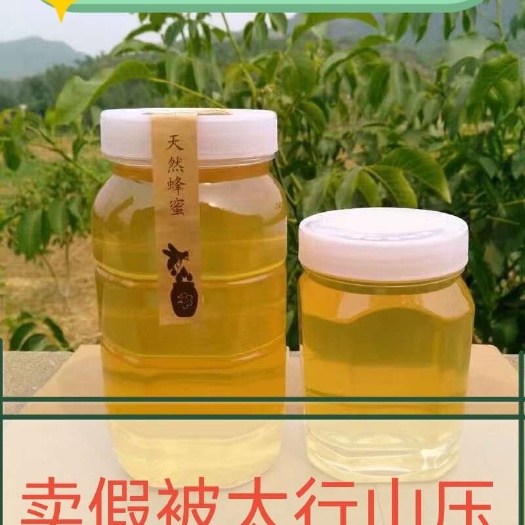 内丘县蜂蜜 槐花蜂蜜 枣花蜜 荆条花蜜 土蜂蜜 野生无勾兑