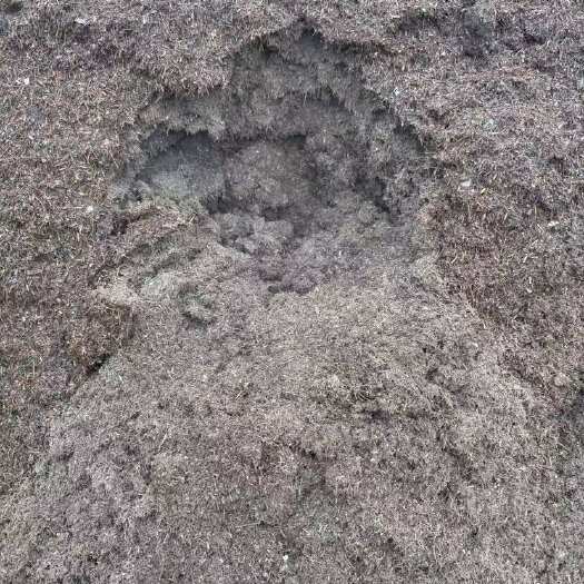 曲靖育苗基质，花卉，园林种植，腐殖土收购销售批发