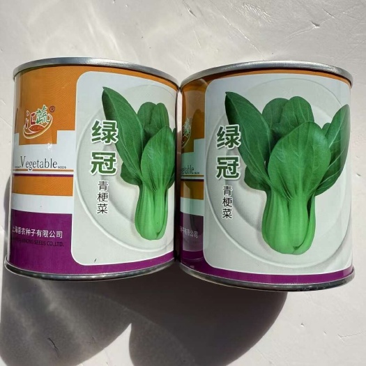 宿迁青梗菜种子