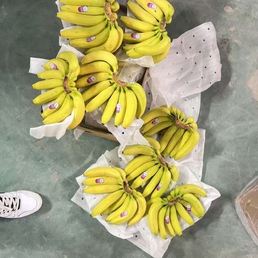 菲律宾精品二黄蕉。