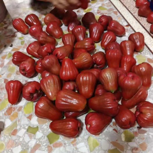 汕头莲雾