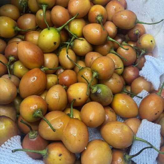 昆明黄金百香果