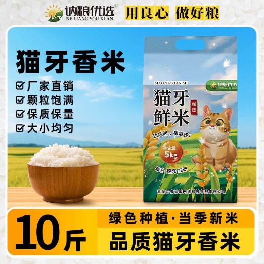 宁德猫牙米10斤当年新大米猫牙米优选长粒鲜现磨现发