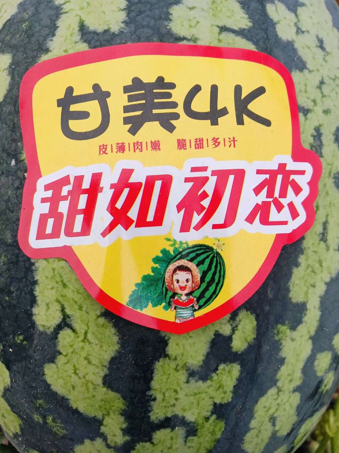 陕西甘美4K,高密度瓜瓤，大红瓤小薄皮，糖度14+保质保量