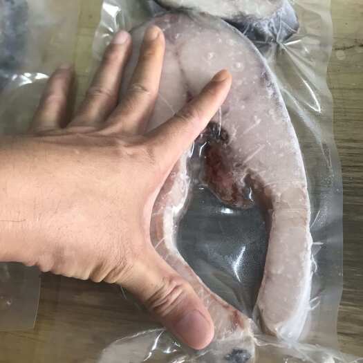 北海顺丰包邮深海特大马鲛鱼新鲜冷冻锁鲜马鲛鱼顺丰速运精准配送到家