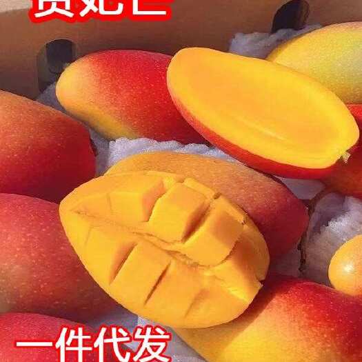 百色百色贵妃芒芒果新鲜10斤一件代发水果当季整箱树上熟贵妃红金玉