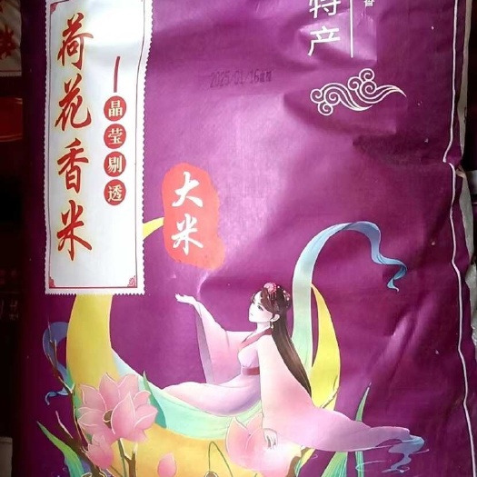 广州江苏船柜直达 江苏油粘米