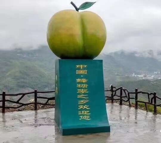镇宁县镇宁蜂糖李新鲜采摘当季李子果肉饱满甜润汁多味美