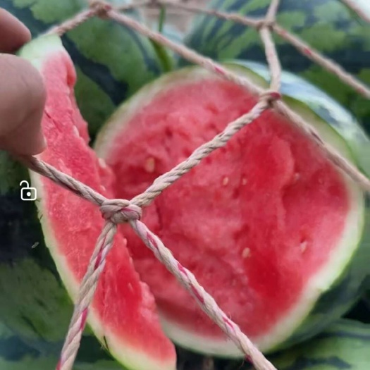 宜城市西瓜/无籽美都/甜王/8424西瓜/麒麟瓜产地批发/一手货源