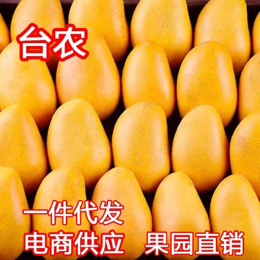 广西百色台农芒果一件代发10斤新鲜现摘台农应当季热带水果特产