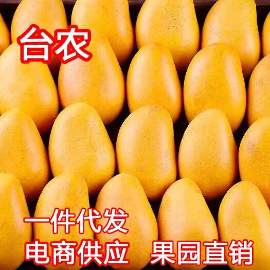 广西百色台农芒果一件代发10斤新鲜现摘台农应当季热带水果特产